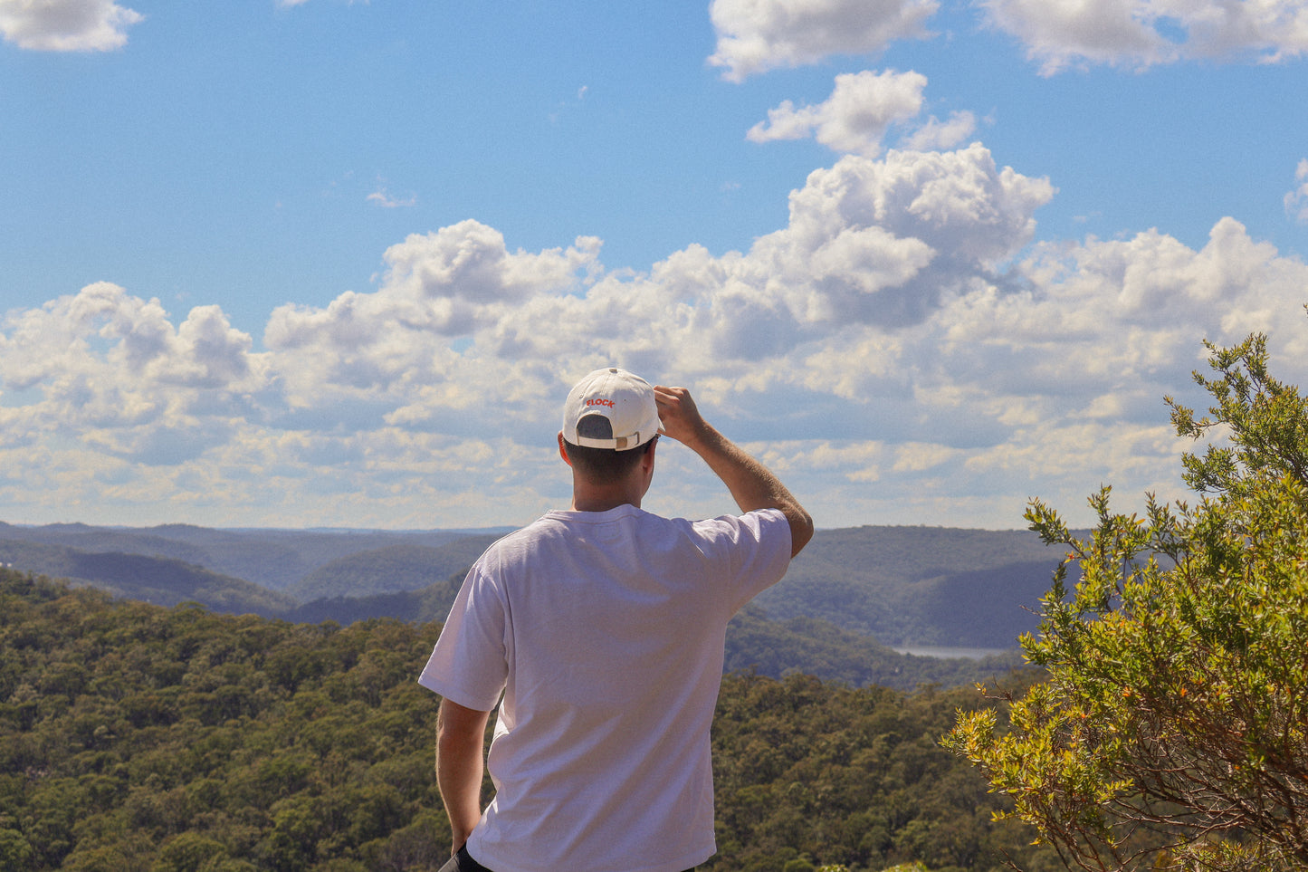 Red-tailed Black Cockatoo