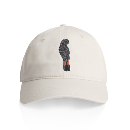 Red-tailed Black Cockatoo