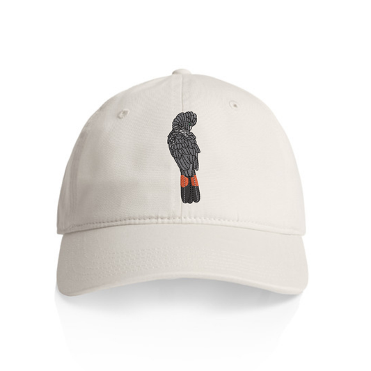 Red-tailed Black Cockatoo